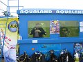 IMG_4284