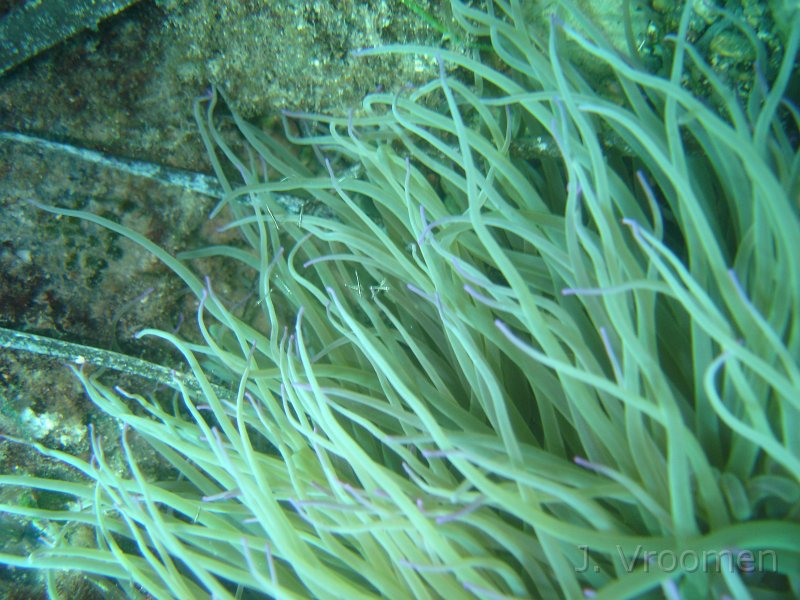 DSC08941.JPG