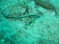 DSC09184