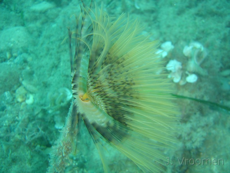 DSC09264.JPG