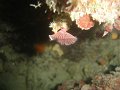 DSC09201