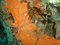 DSC09206