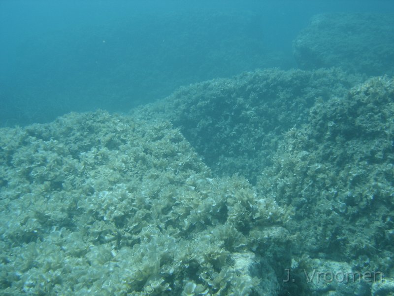 DSC08920.JPG