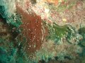 DSC09209