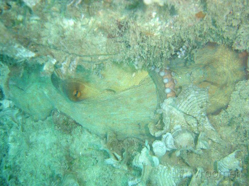DSC09292.JPG