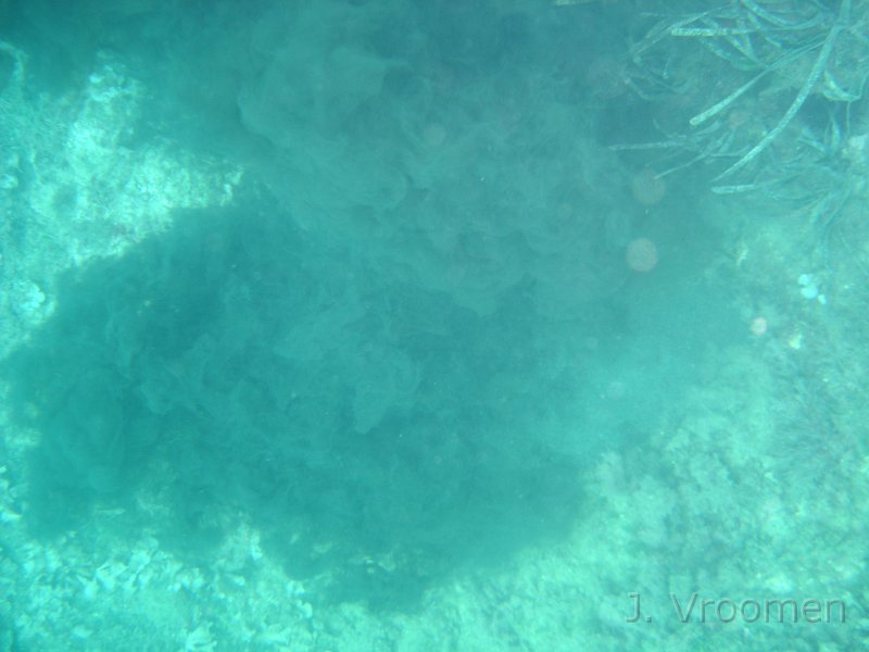 DSC09293.JPG