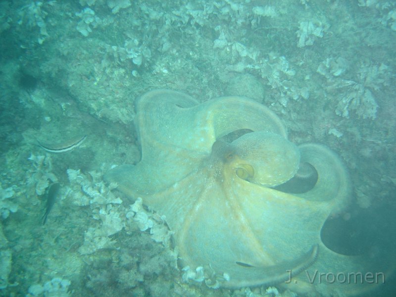 DSC09295.JPG