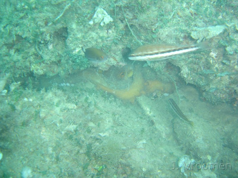 DSC09298.JPG