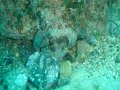 DSC09174