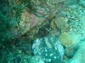 DSC09175