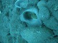DSC09190
