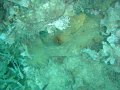 DSC09291