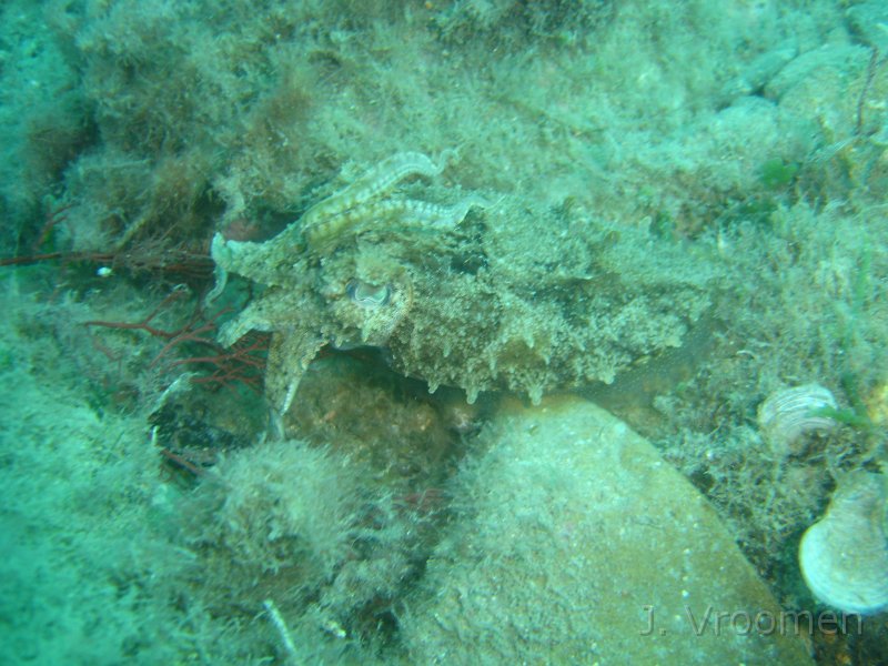 DSC09253.JPG