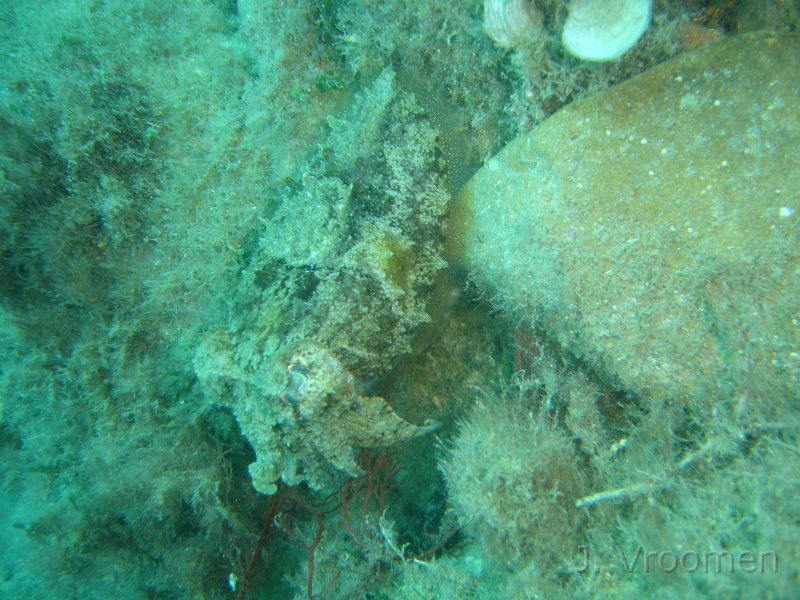 DSC09256.JPG