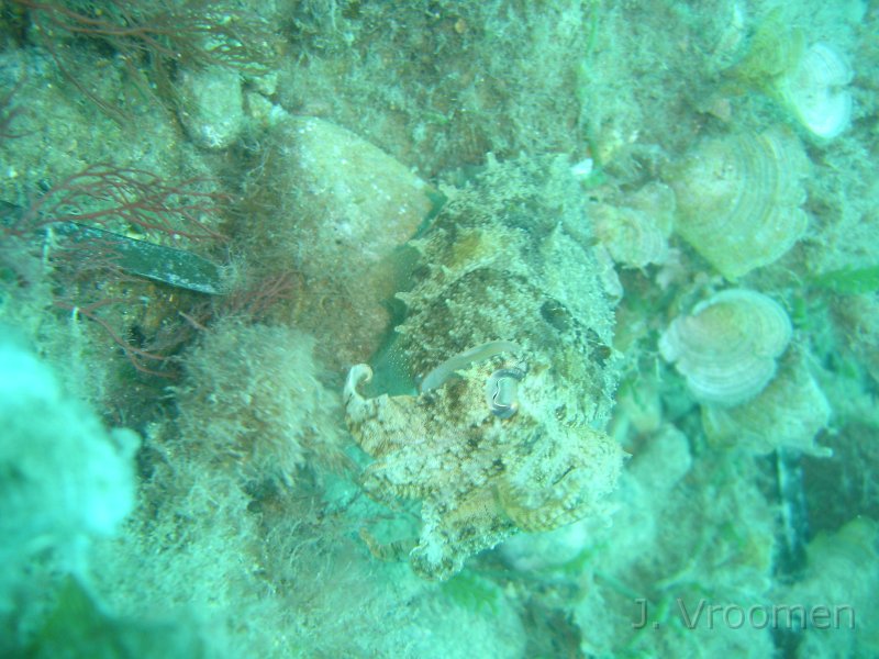 DSC09257.JPG