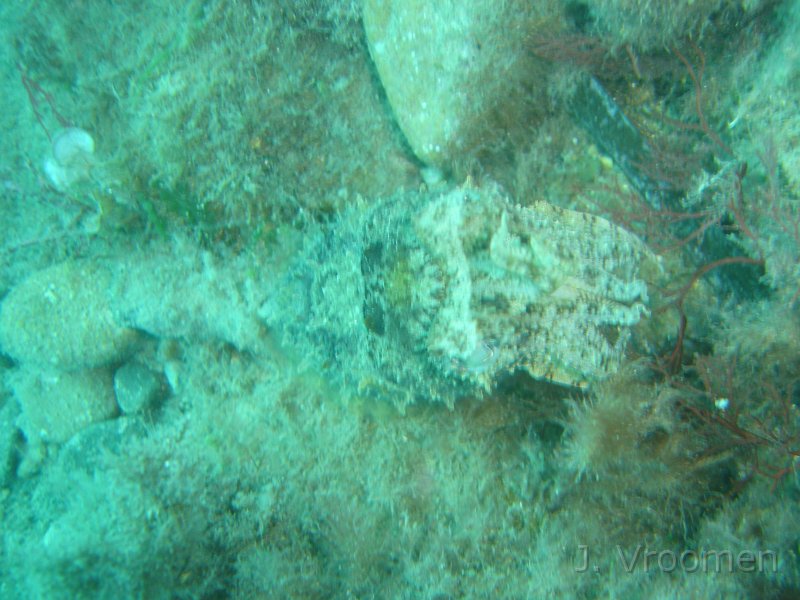 DSC09258.JPG