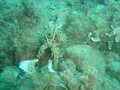 DSC09251