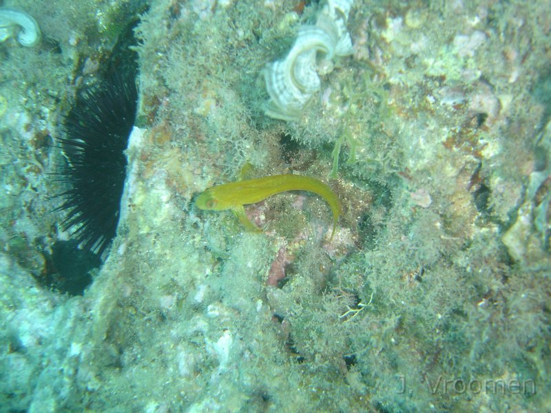 DSC09228.JPG