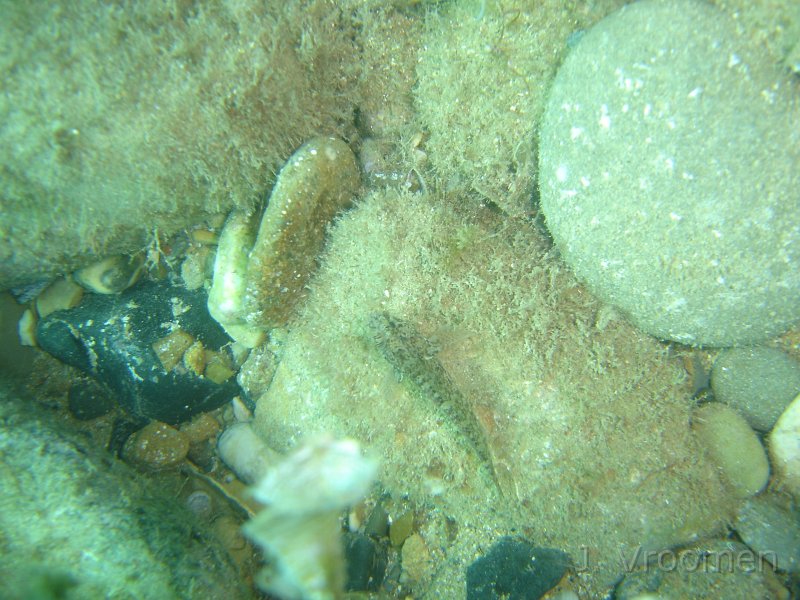 DSC09249.JPG