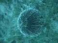 DSC09191