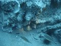 DSC01795
