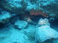 DSC01840
