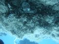 DSC01568