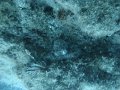 DSC01570