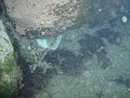 DSC01891