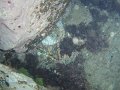 DSC01892