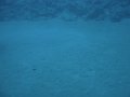 DSC01804
