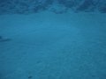 DSC01805