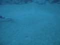 DSC01806