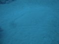 DSC01807