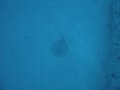 DSC01824