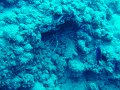 DSC01653