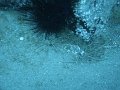 DSC01853