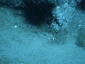 DSC01855