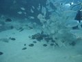 DSC01468