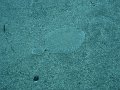 DSC01495