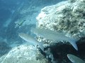 DSC01504