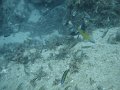 DSC01505
