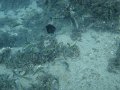 DSC01506