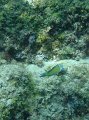 DSC01517