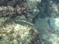 DSC01590