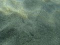 DSC01684