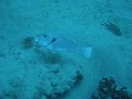 DSC01845