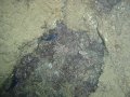 DSC01897