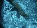 DSC02031