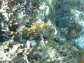 DSC02205